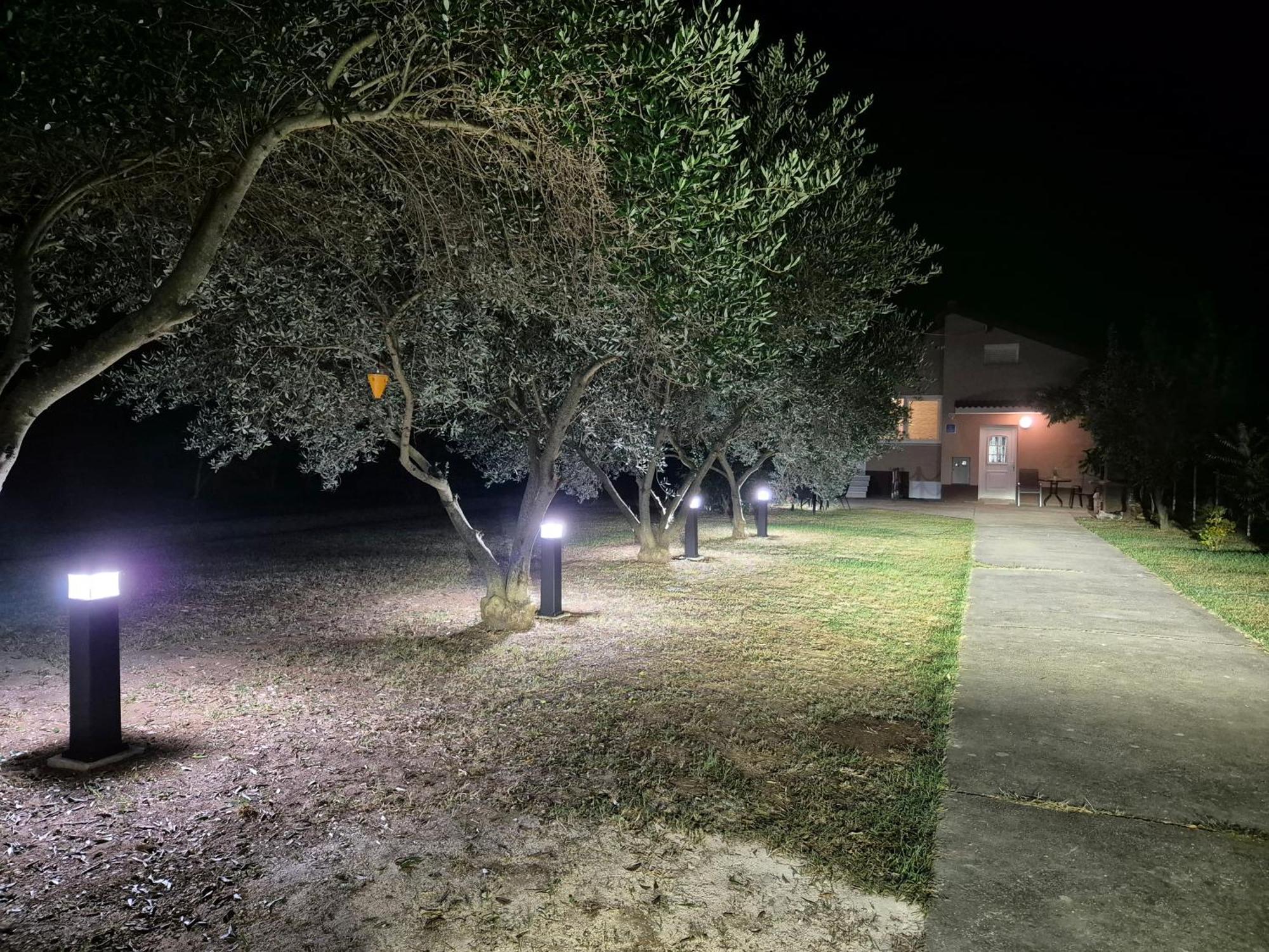 Holiday Home Begonja بريفلاكا المظهر الخارجي الصورة